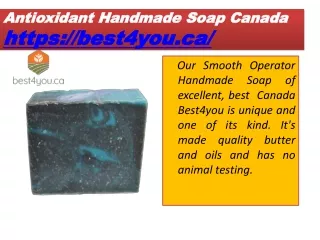 antioxidant handmade soap canada https best4you ca