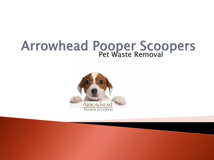 pet waste removal