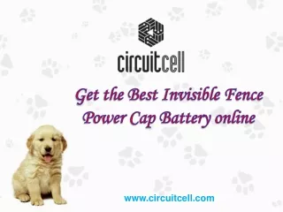 Get the Best Invisible Fence Power Cap Battery online