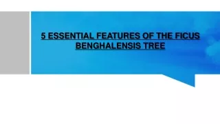 5 ESSENTIAL FEATURES OF THE FICUS BENGHALENSIS TREE