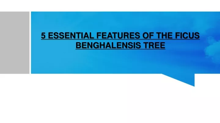 5 essential features of the ficus benghalensis tree