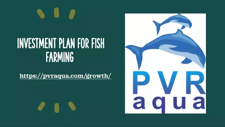 investment plan for fish farming