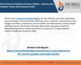North America Gaskets and Seals Market