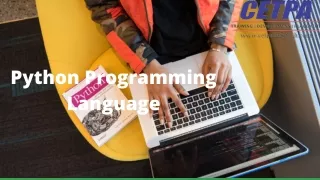 python programming language