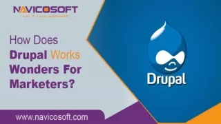 Best Drupal Hosting Services In USA With Affordable Packages | Navicosoft