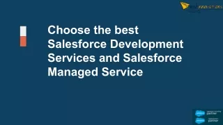 choose the best salesforce development services