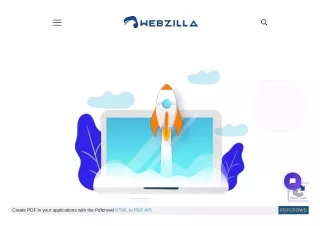 Digital marketing agency Auckland, NZ | SEM Marketing -  Webzilla