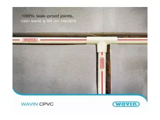 Sanitary Pipe Fittings PVC