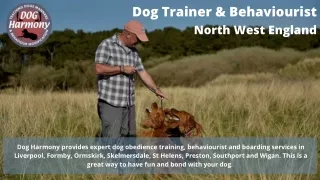 Contact Peter Hargreaves Skelmersdale for effective dog training | Dog	Harmony