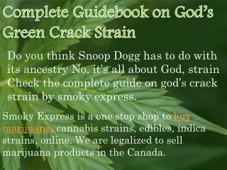Complete Guidebook on God’s Green Crack Strain