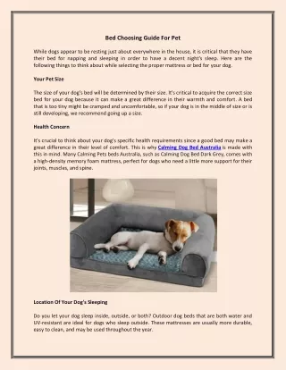 bed choosing guide for pet