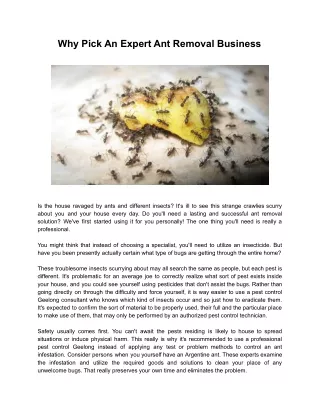 why pick an expert ant removal business