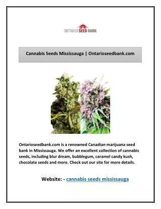 Cannabis Seeds Mississauga | Ontarioseedbank.com