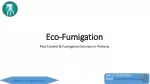 Eco-Fumigation | Pest Control & Fumigation Services in Pretoria - slide 1