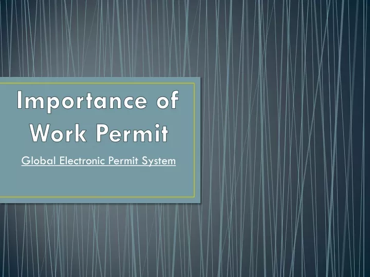 global electronic permit system