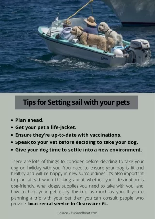 Tips for Setting sail with your pets