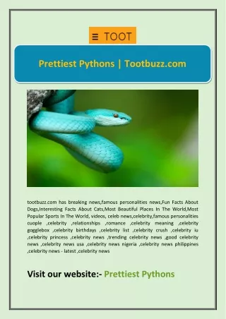 Prettiest Pythons | Tootbuzz.com