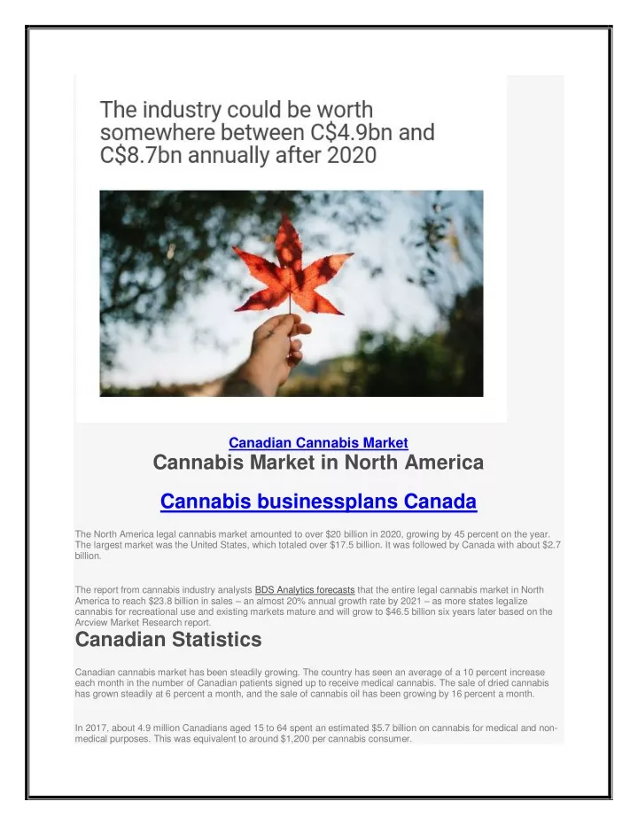 canadian cannabis market cannabis market in north