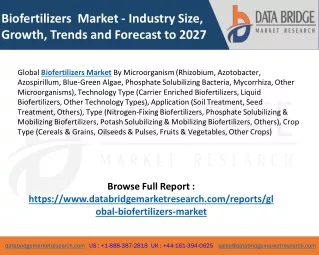 Biofertilizers Market