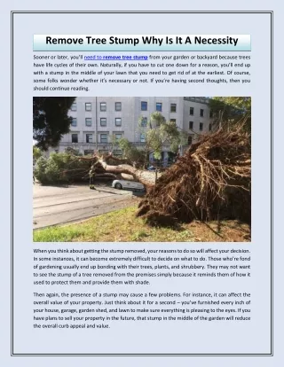remove tree stump why is it a necessity