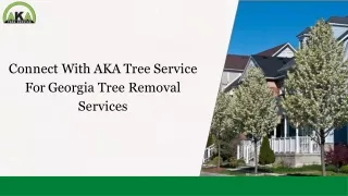 Connect With AKA Tree Service For Georgia Tree Removal Services