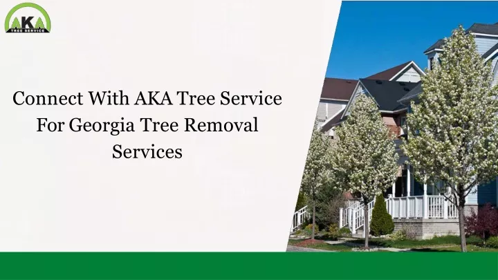 connect with aka tree service for georgia tree removal services
