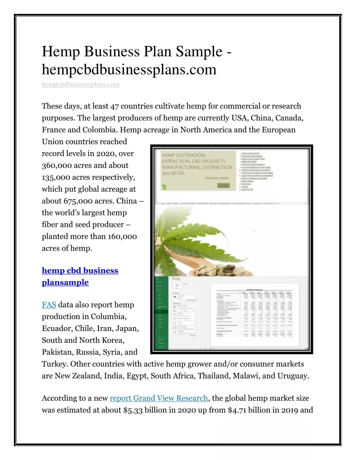 hemp business plan sample hempcbdbusinessplans