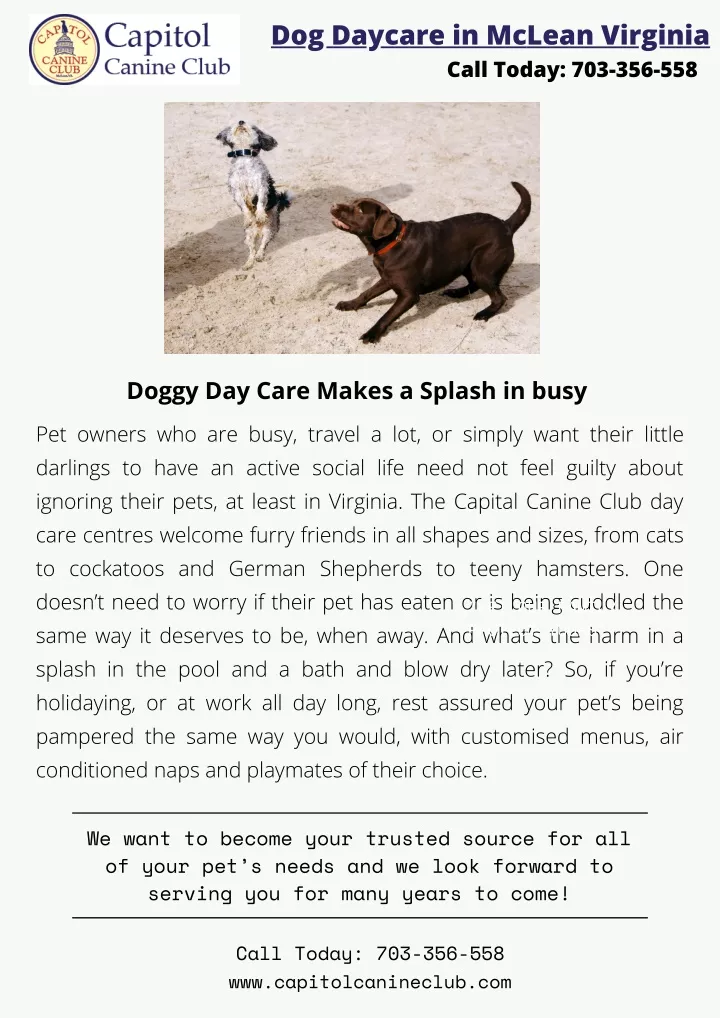 dog daycare in mclean virginia