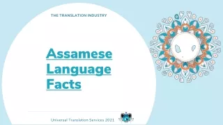 the translation industry