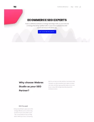 Ecommerce SEO Consultant