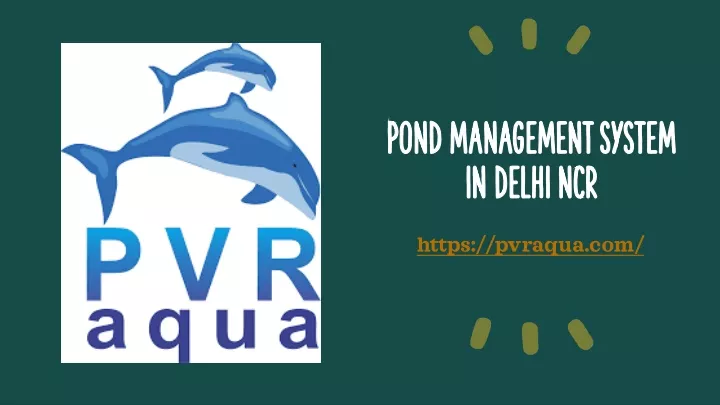 pond management system pond management system