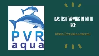 ras fish farming in delhi ncr
