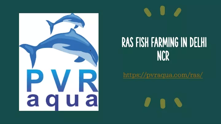 ras fish farming in delhi ncr