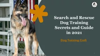 Search and Rescue Dog Training Secrets and Guide in 2021 | Dog Training Craft