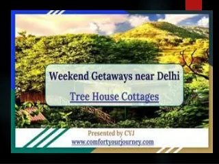tree house resort | weekend getaways in jaipur