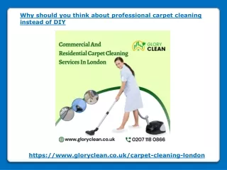 why should you think about professional carpet