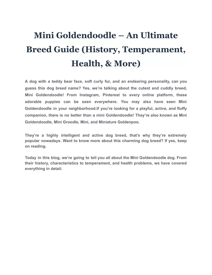mini goldendoodle an ultimate