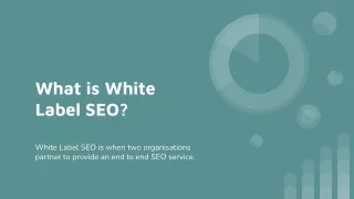 What is White Label SEO_