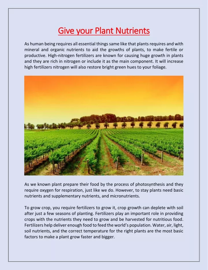 PPT - Give Your Plant Nutrients PowerPoint Presentation, Free Download ...