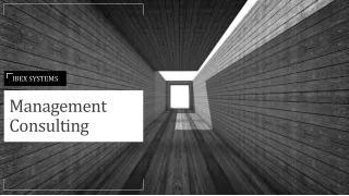management consulting