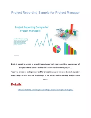 project reporting sample for project manager