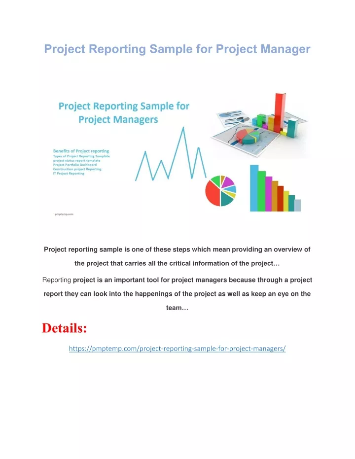 project reporting sample for project manager