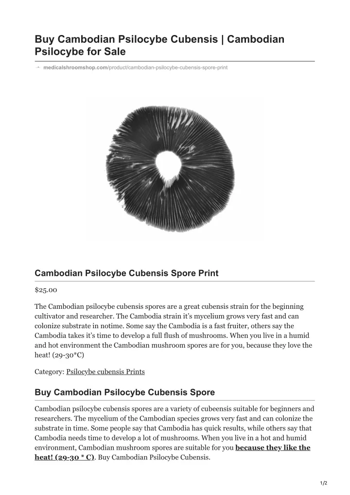 buy cambodian psilocybe cubensis cambodian