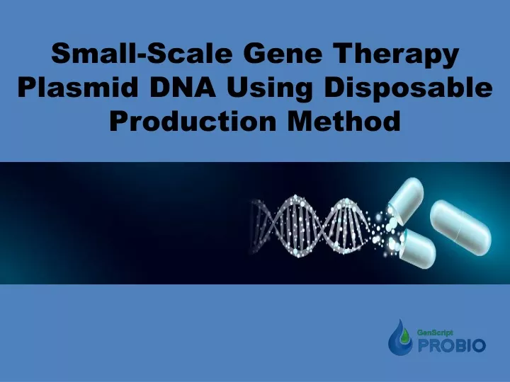 small scale gene therapy plasmid dna using