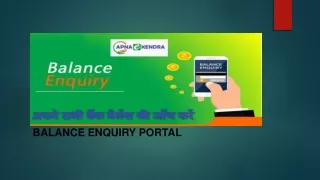 balance enquiry portal