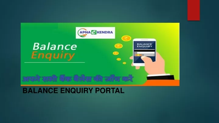 balance enquiry portal