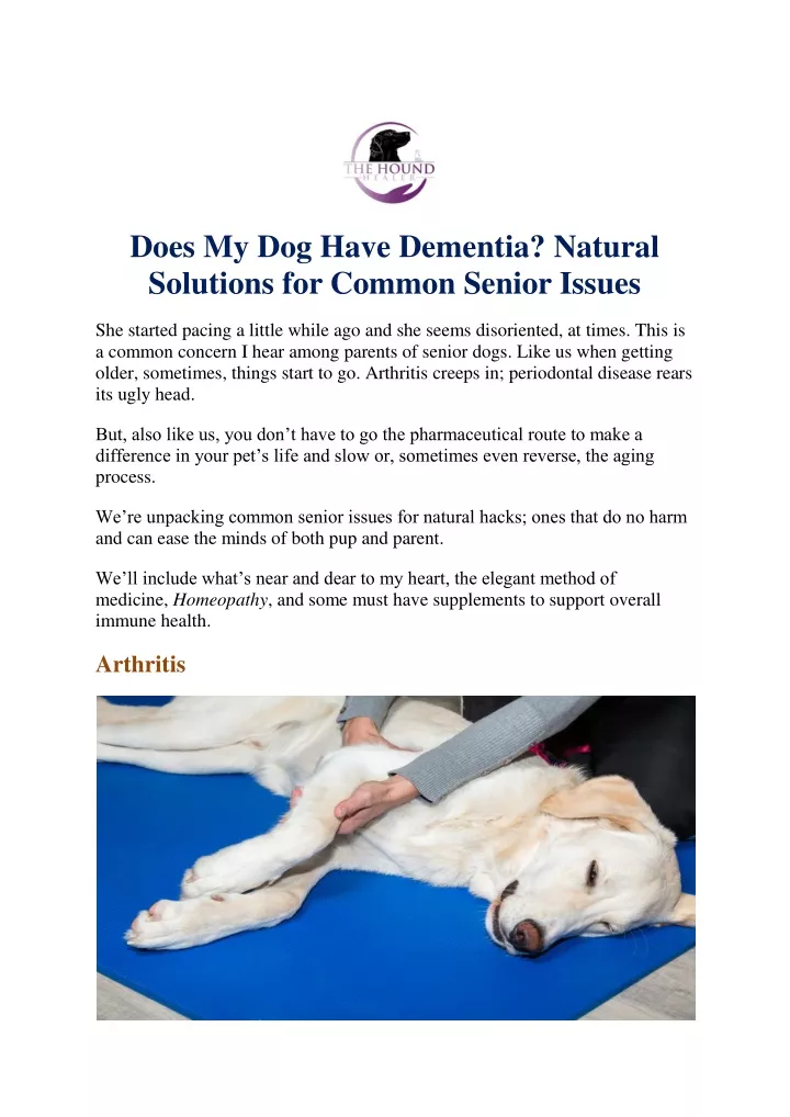 does my dog have dementia natural solutions