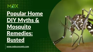 Popular Home DIY Myths & Mosquito Remedies Busted