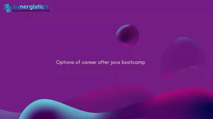 options of career after java bootcamp