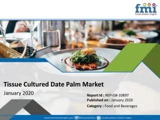 tissue cultured date palm market january 2020